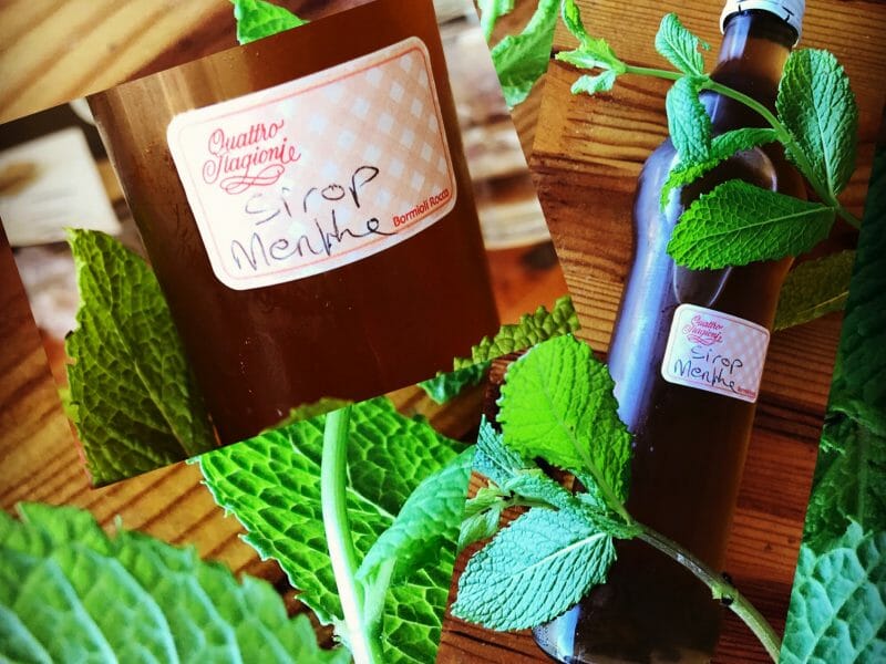 Cliquez pour zoomer ! Sirop de menthe Thermomix par crucru06110