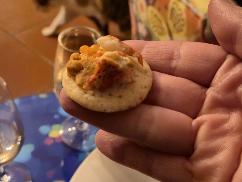 Cliquez pour zoomer ! Blinis Thermomix par miamandine