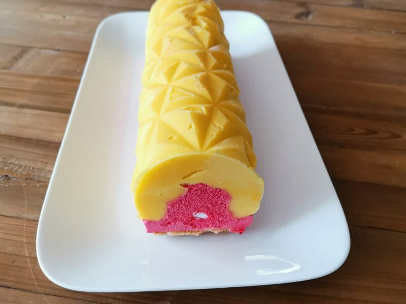 Cliquez pour zoomer ! Bûche glacée mangue et framboise Thermomix par virginiepetejo