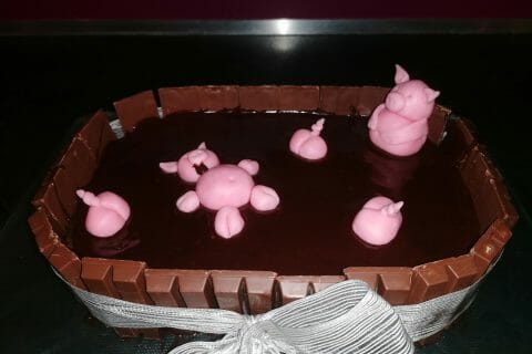 Cliquez pour zoomer ! La mare aux cochons Thermomix par anaelle_50