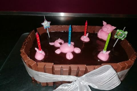 Cliquez pour zoomer ! La mare aux cochons Thermomix par anaelle_50