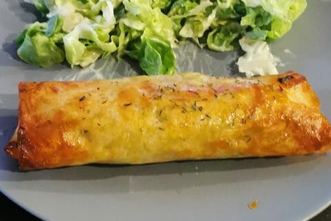 Cliquez pour zoomer ! Brick de saumon et poireaux Thermomix par aurelie_229