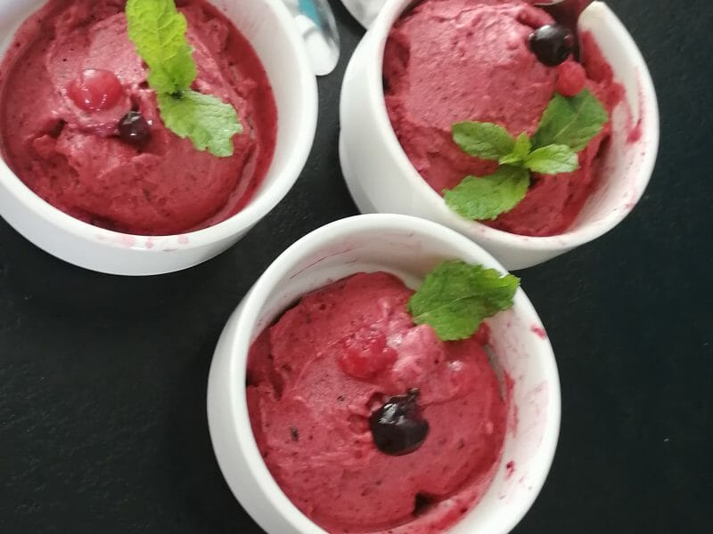 Cliquez pour zoomer ! Sorbet aux fruits rouges Thermomix par melanie_56bzh