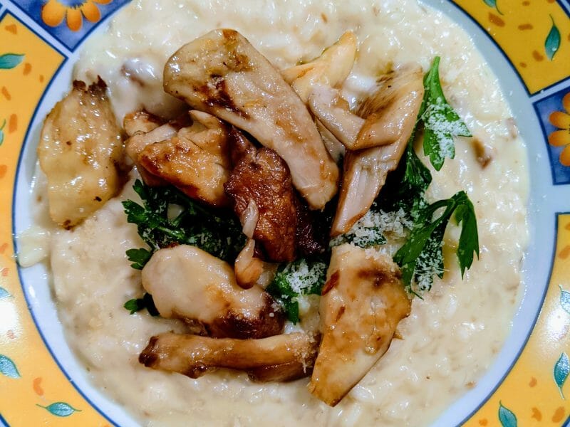 Cliquez pour zoomer ! Risotto aux cèpes Thermomix par juliette1226