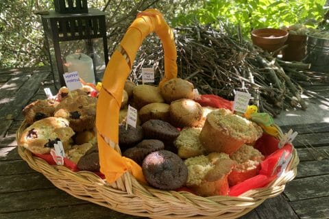 Cliquez pour zoomer ! Muffins aux myrtilles Thermomix par malaroboty