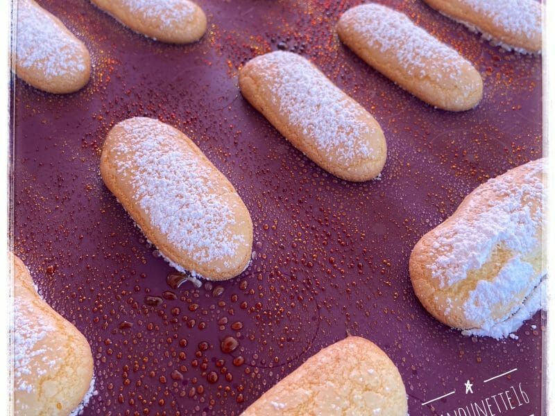 Biscuits A La Cuillere Au Thermomix Cookomix