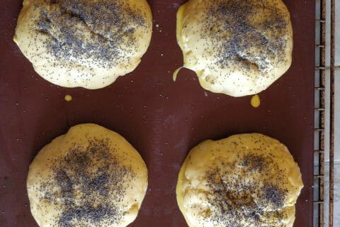 Cliquez pour zoomer ! Pains hamburger Thermomix par mcyril