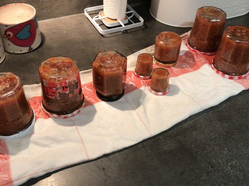 Cliquez pour zoomer ! Confiture de figues Thermomix par juljul38