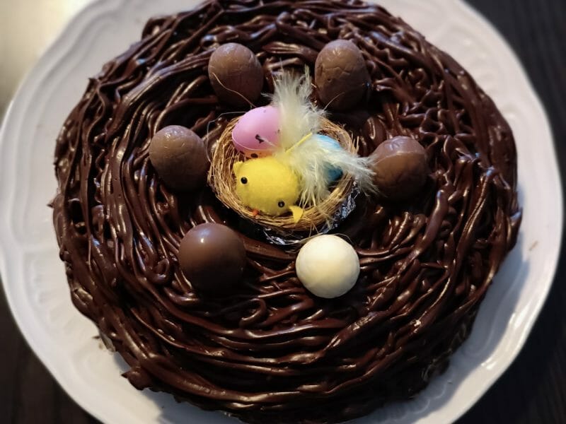 Cliquez pour zoomer ! Nids de Pâques Thermomix par linda