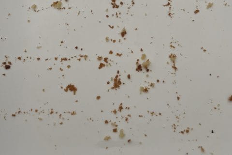 Cliquez pour zoomer ! Gâteau au yaourt Thermomix par soniadu30