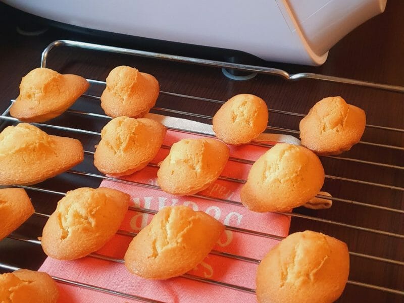 Cliquez pour zoomer ! Madeleines Thermomix par nellymanu