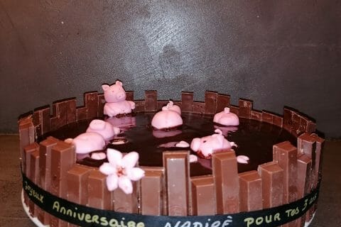 Cliquez pour zoomer ! La mare aux cochons Thermomix par lolo68290