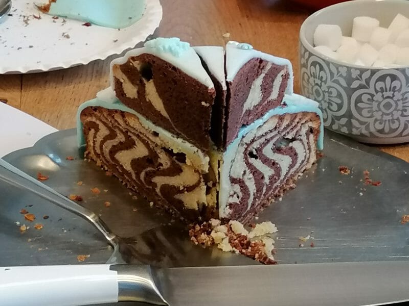 Cliquez pour zoomer ! Gâteau zébré Thermomix par amandine_153