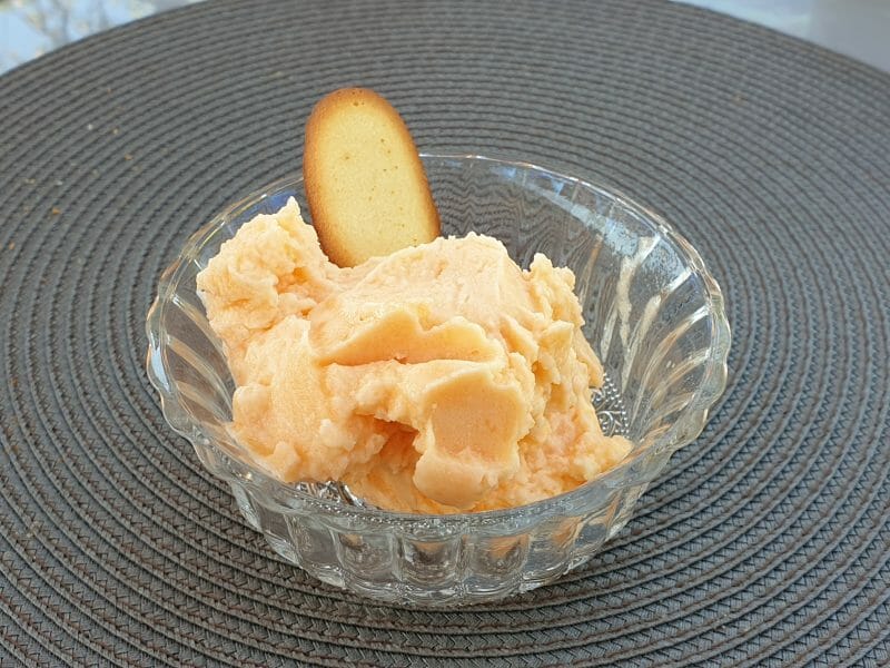 Cliquez pour zoomer ! Sorbet melon Thermomix par severine77340