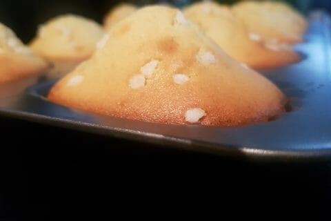 Cliquez pour zoomer ! Madeleines Thermomix par titougne