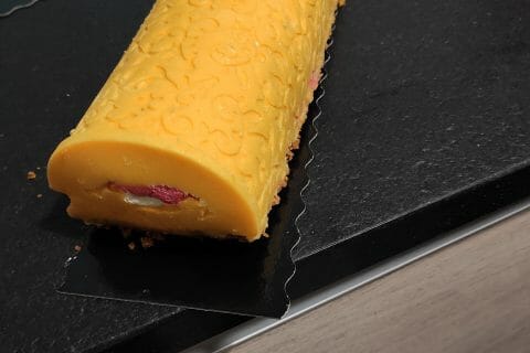 Cliquez pour zoomer ! Bûche glacée mangue et framboise Thermomix par slyvie