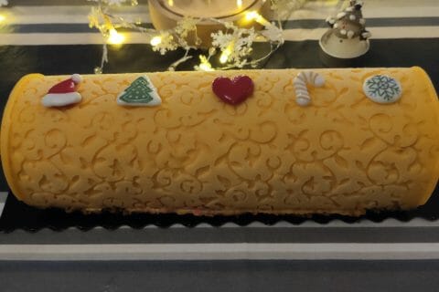 Cliquez pour zoomer ! Bûche glacée mangue et framboise Thermomix par slyvie