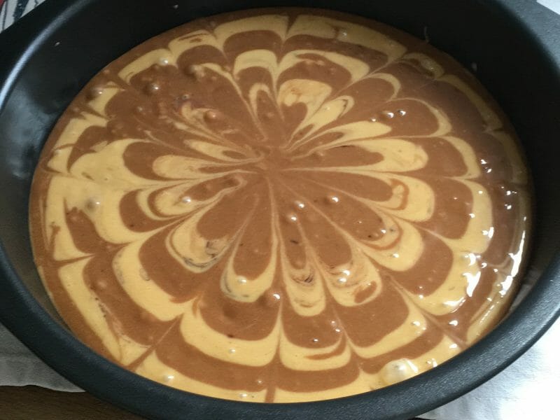 Cliquez pour zoomer ! Gâteau zébré Thermomix par marie14790