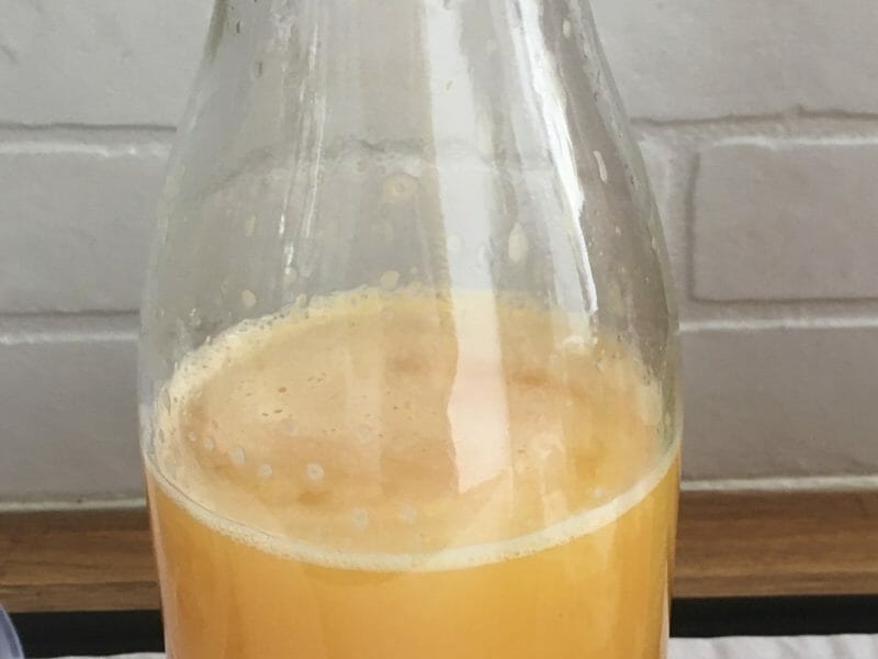 Cliquez pour zoomer ! Jus de fruits ACE Thermomix par marie14790