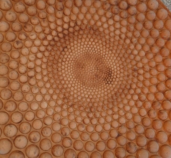 Cliquez pour zoomer ! Trianon Thermomix par sarah_107