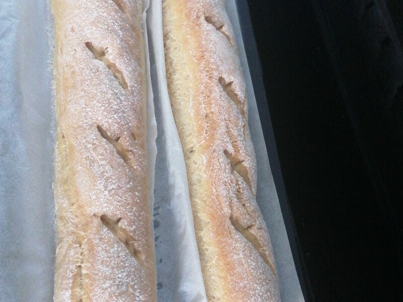 Cliquez pour zoomer ! Baguettes Thermomix par valalifamily