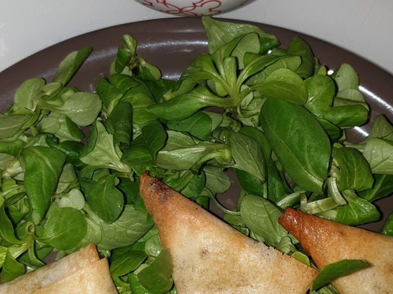 Cliquez pour zoomer ! Samoussa Thermomix par Marion