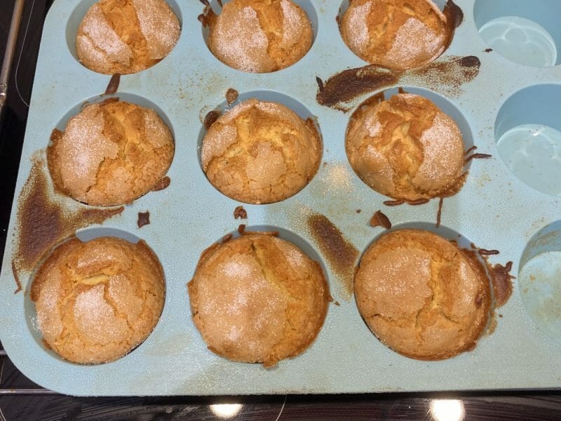 Cliquez pour zoomer ! Magdalenas – Madeleines espagnoles Thermomix par topie33