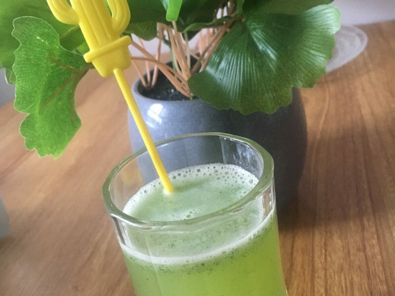 Cliquez pour zoomer ! Lemon mint Thermomix par saina27
