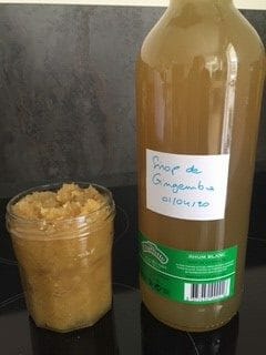 Cliquez pour zoomer ! Sirop de gingembre Thermomix par muriellecl