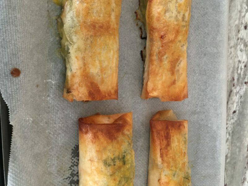 Cliquez pour zoomer ! Brick de saumon et poireaux Thermomix par laetit57