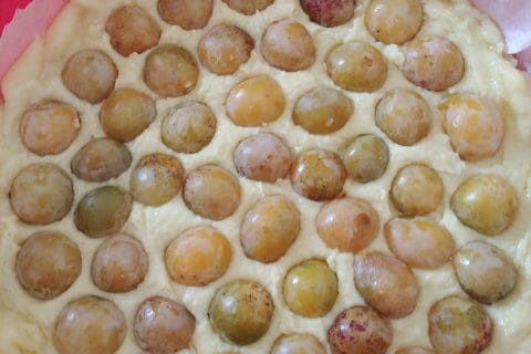 Cliquez pour zoomer ! Tarte aux mirabelles Thermomix par jessica_96