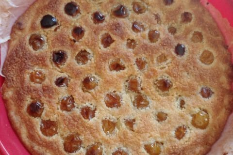 Cliquez pour zoomer ! Tarte aux mirabelles Thermomix par jessica_96