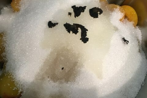 Cliquez pour zoomer ! Confiture de mirabelles Thermomix par snowake