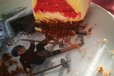 Cliquez pour zoomer ! Bûche glacée mangue et framboise Thermomix par anais3012