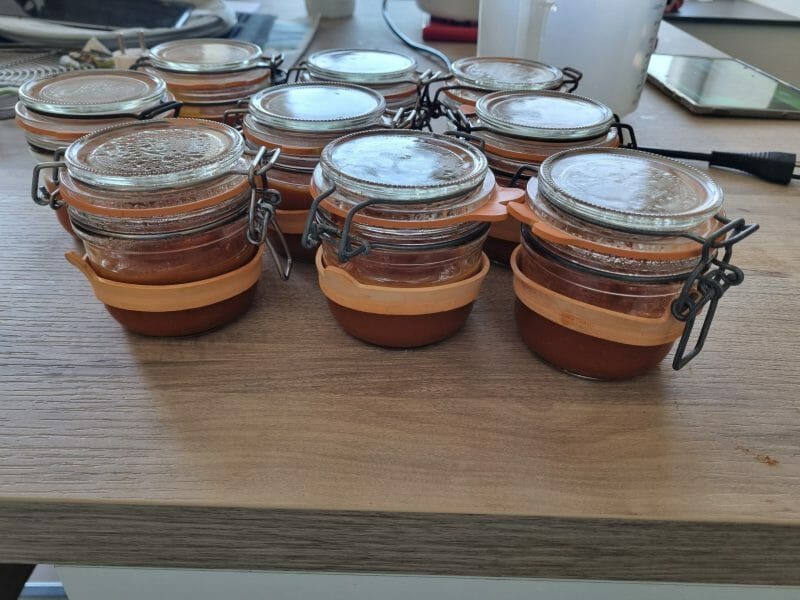 Cliquez pour zoomer ! Ketchup Thermomix par sylvie6