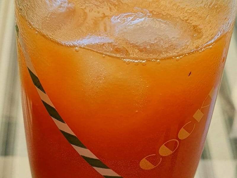 Cliquez pour zoomer ! Nectar d’abricot Thermomix par natigayda