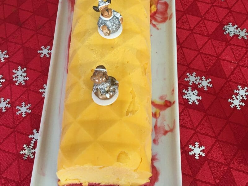 Cliquez pour zoomer ! Bûche glacée mangue et framboise Thermomix par corinne_64