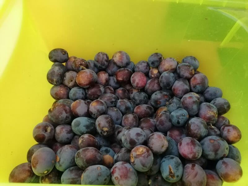 Cliquez pour zoomer ! Confiture de prunes Thermomix par topette