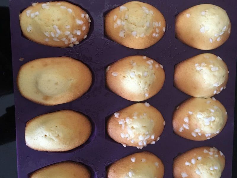 Cliquez pour zoomer ! Madeleines Thermomix par mathilde_82