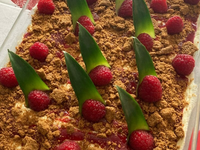 Cliquez pour zoomer ! Tiramisu à l’ananas et son coulis de framboises Thermomix par maelle17