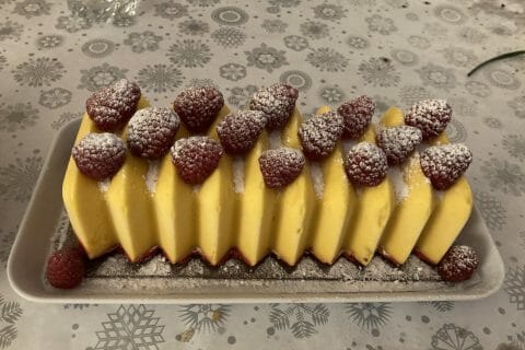 Cliquez pour zoomer ! Bûche glacée mangue et framboise au Thermomix