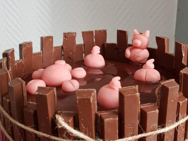 Cliquez pour zoomer ! La mare aux cochons Thermomix par aurelie_03