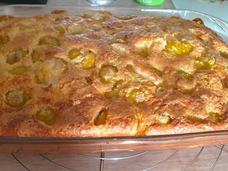 Cliquez pour zoomer ! Clafoutis aux mirabelles Thermomix par Reine81