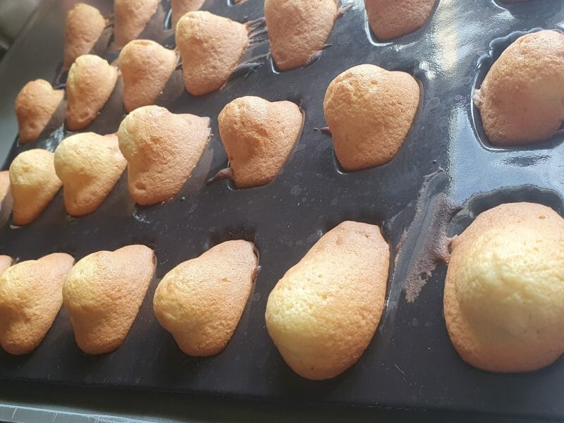 Cliquez pour zoomer ! Madeleines Thermomix par mzl