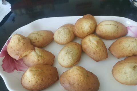 Cliquez pour zoomer ! Photo de veronique_66