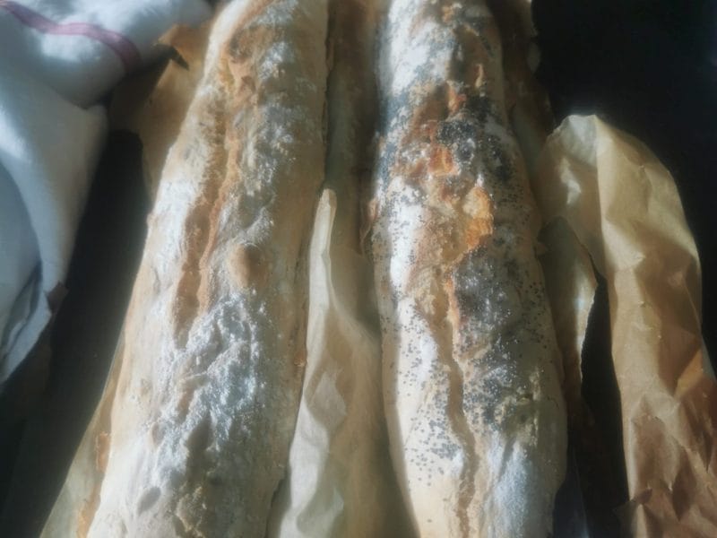 Cliquez pour zoomer ! Baguettes Thermomix par veronique_66