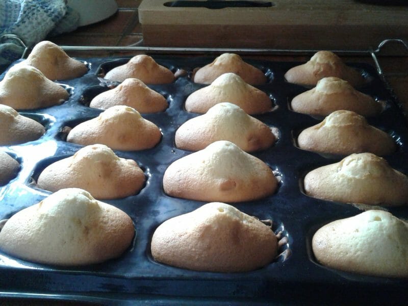 Cliquez pour zoomer ! Madeleines Thermomix par Pascale76