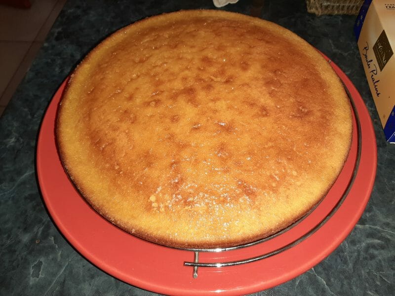 Cliquez pour zoomer ! Gâteau à la clémentine Thermomix par nathchouchou22