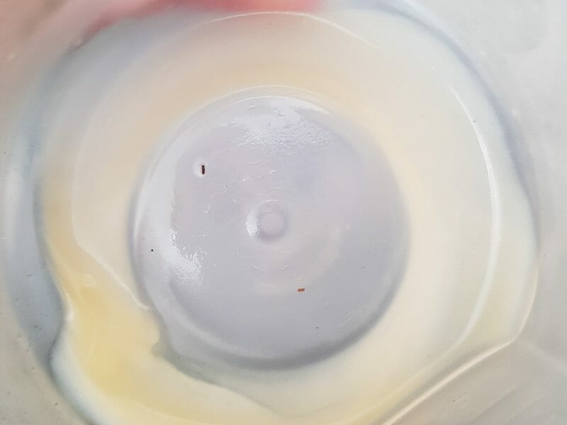 Cliquez pour zoomer ! Mc Flurry Thermomix par MAYA