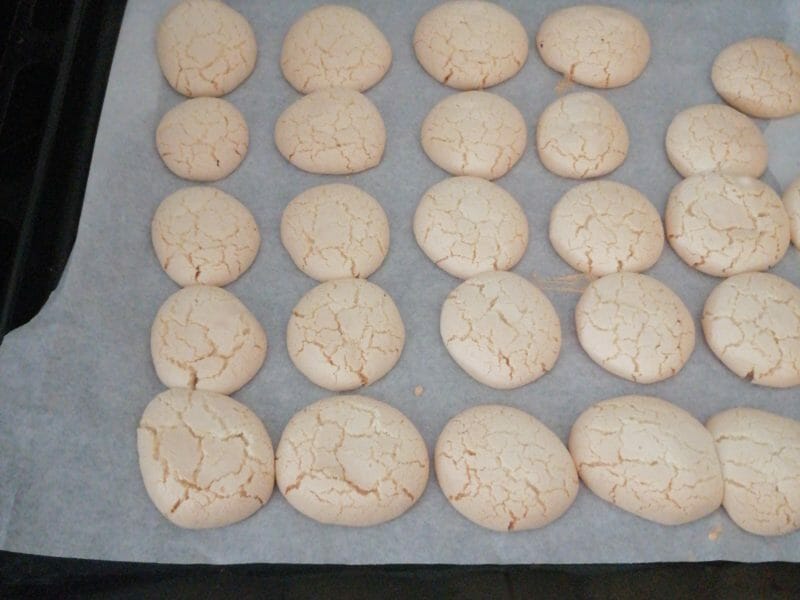 Cliquez pour zoomer ! Macarons Thermomix par floriane_28